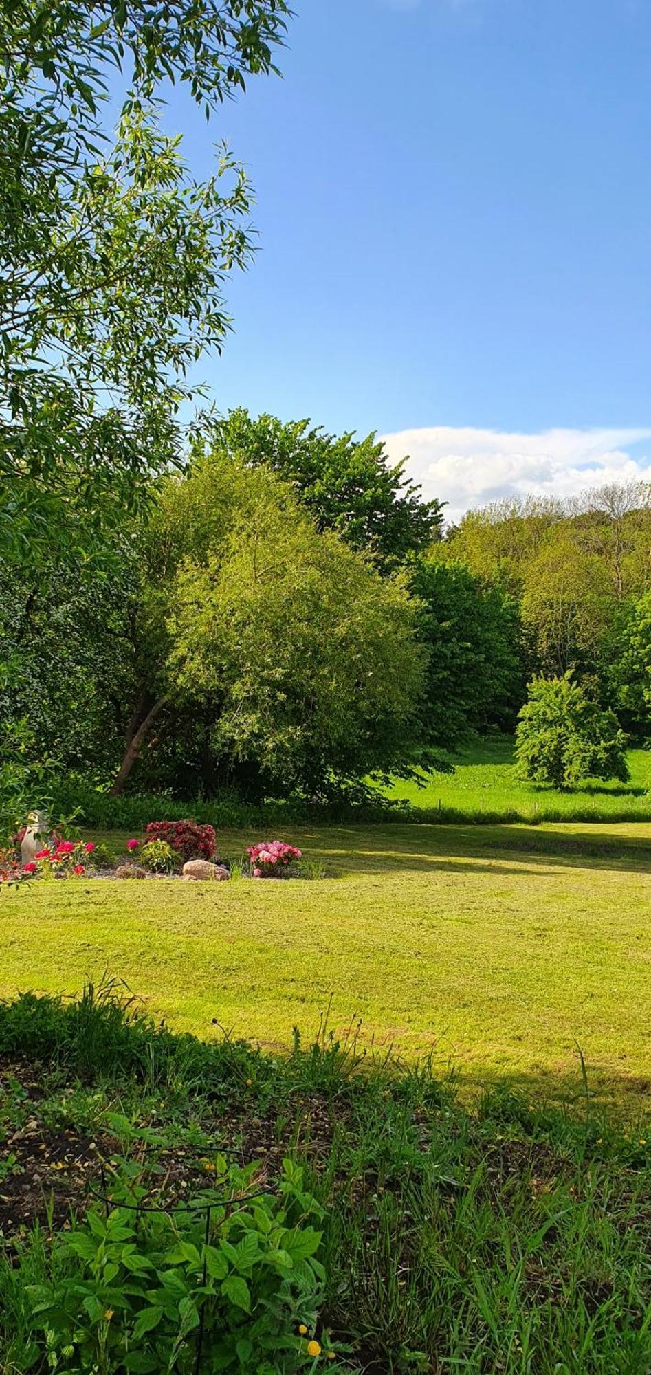 Bed and Breakfast Hos Molsgaarden Knebel Экстерьер фото